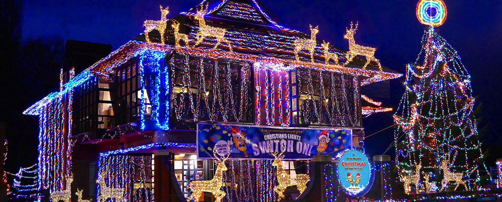 Xmas Lights