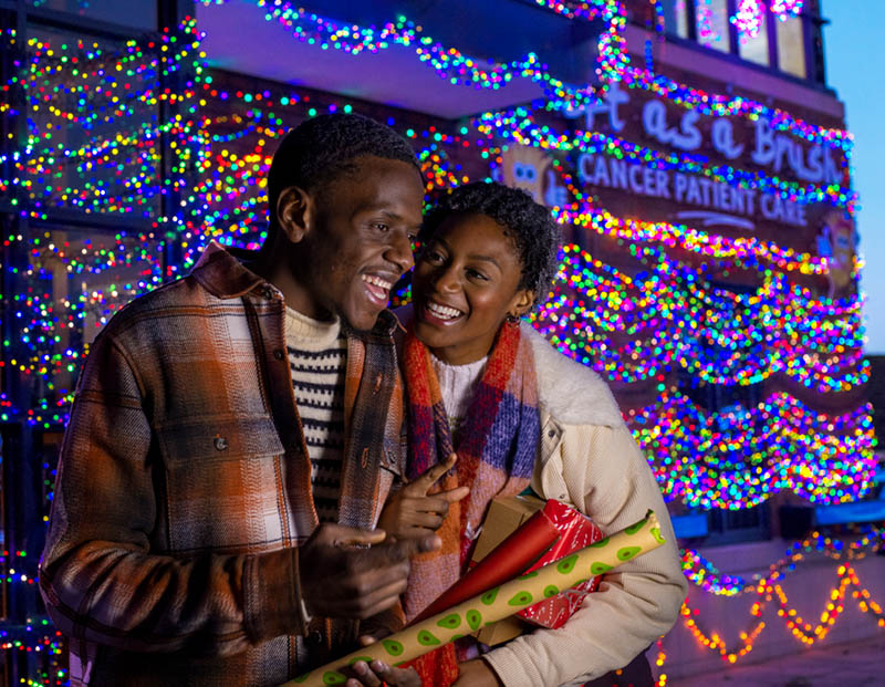 Daft as a Brush Christmas Lights Daft as a Brush Christmas Lights