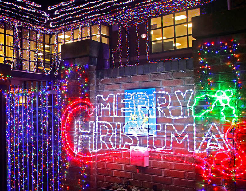 Daft as a Brush Christmas Lights Daft as a Brush Christmas Lights